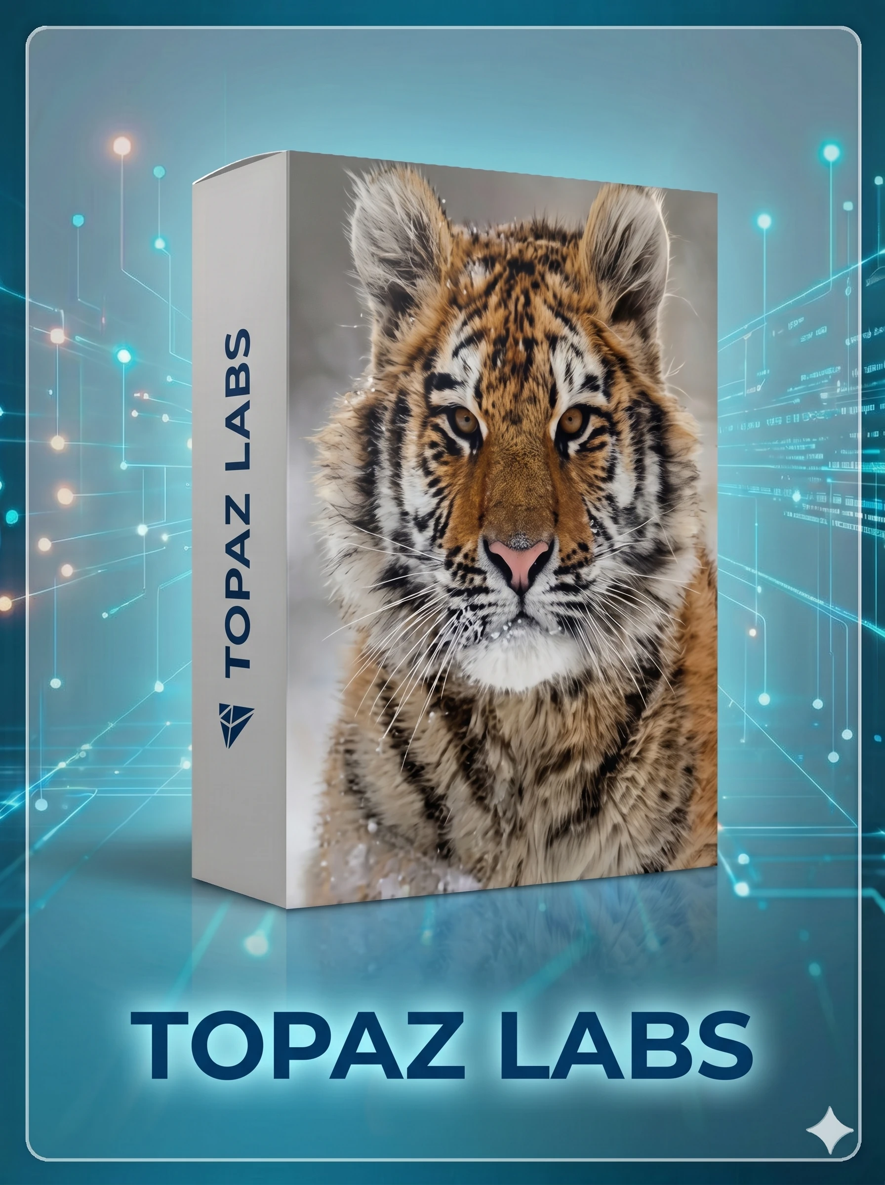 0 Программа Topaz Photo Pro 1.1.0 Win / Бессрочная активация. Неограниченное число устройств.